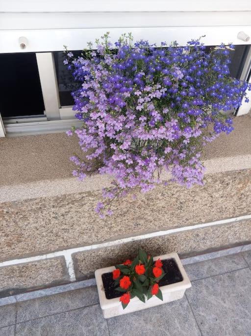 Apartamento en San Vicente de O Grove Exterior foto